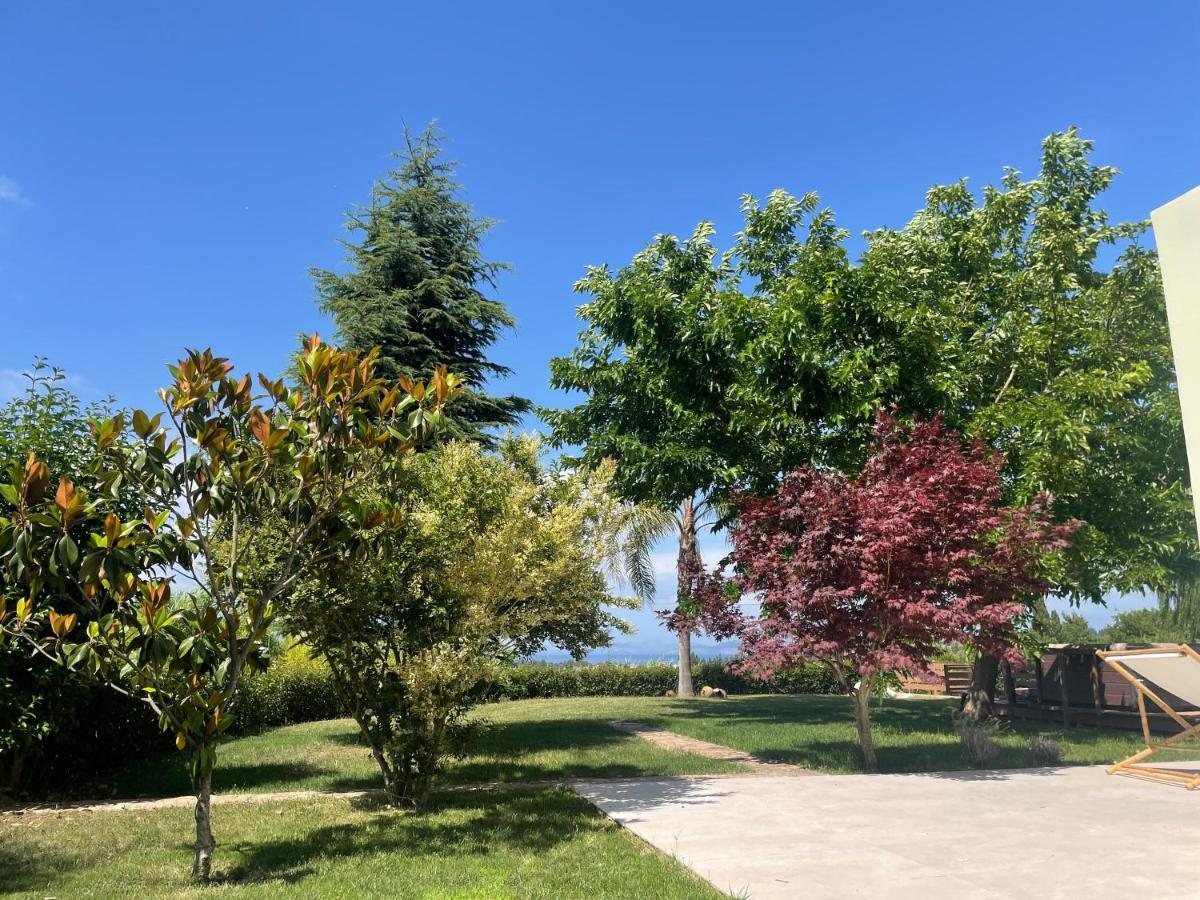 Villa Wild Willow Potamos (Corfu)